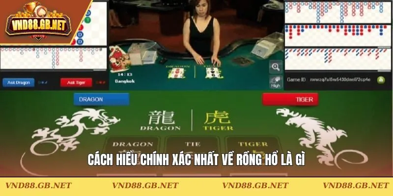 Cách hiểu chính xác nhất về Rồng Hổ là gì